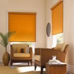Designer Roller Blinds Living Room Corner