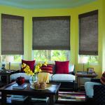 Natural Woven Blinds Familyroom