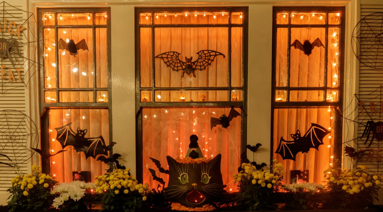 Halloween window display with black bat decorations, a vintage black cat, warm string lights and yellow mums